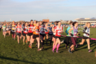 Senior womens North Eastern Cross Country, Redcar. Photo:  David T. Hewitson/Sports for All Pics